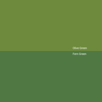 olive-green-v-fern-green