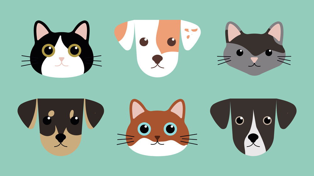 Create a Flat Vector Illustration of Your Pets in Illustrator