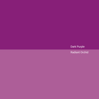 dark-purple-v-radiant-orchid