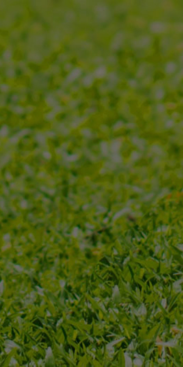 Category hero - parks outdoors