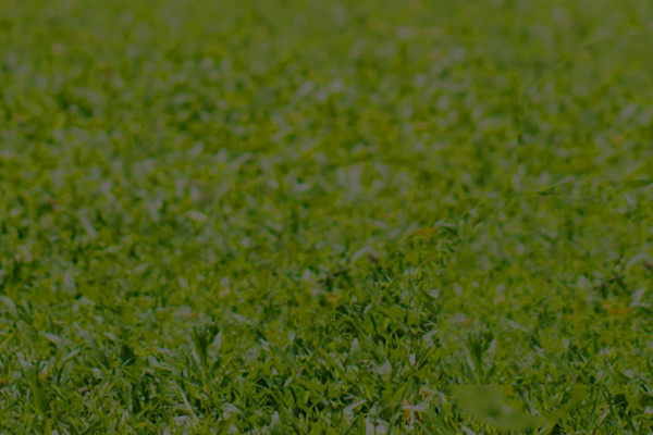 Category hero - parks outdoors