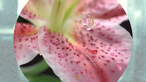 Transitions thumbnail