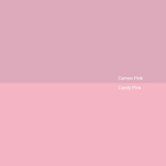 cameo-pink-v-candy-pink