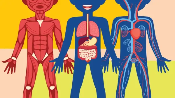 10 Infographic Examples for Students 10 Infographic Examples for Students