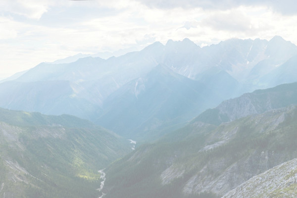 Affiliate hero image