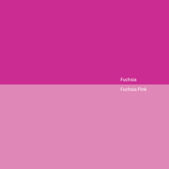 fuchsia-v-fuchsia-pink