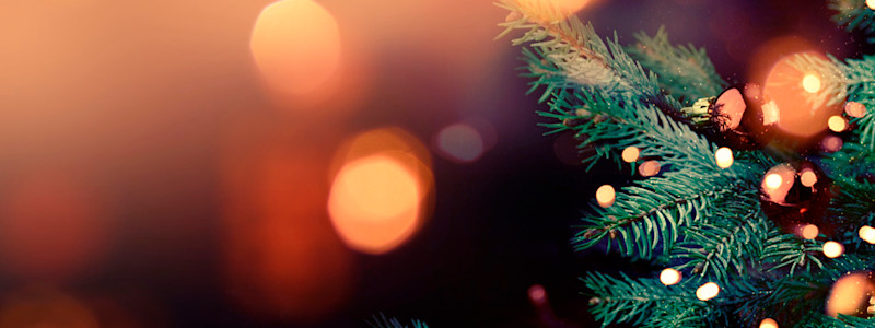 Holiday-Lookbook Banner