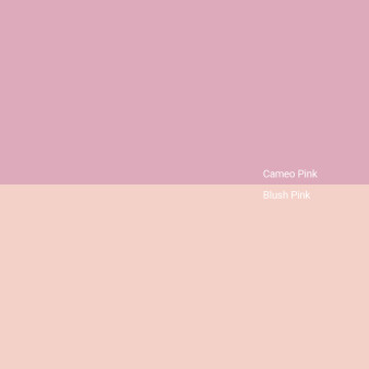 cameo-pink-v-blush-pink