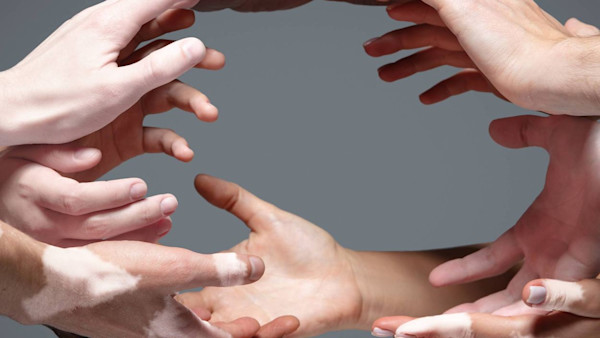 5 alternative photo searches cover 5 alternative photo searches cover