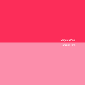 magenta-pink-v-flamingo-pink