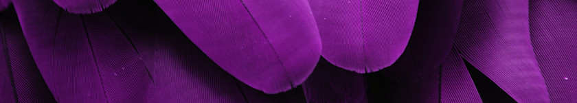 image-revamp-lohp-banner