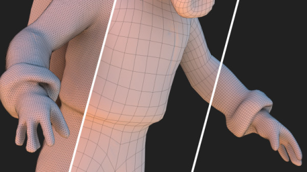 feature mesh