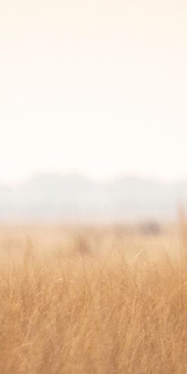 Animals/Wildlife stock photos