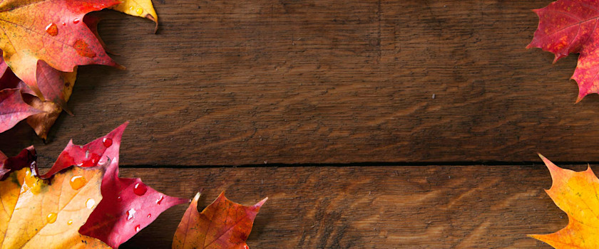 Autumn free images - Subcategory