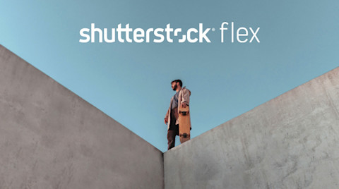 flex 25 image