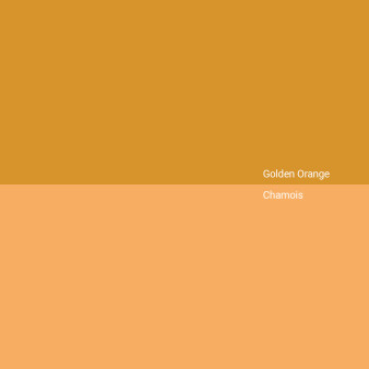 golden-orange-vs-chamois