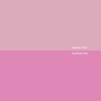 cameo-pink-v-fuchsia-pink