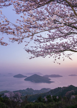 Springtime-in-Japan