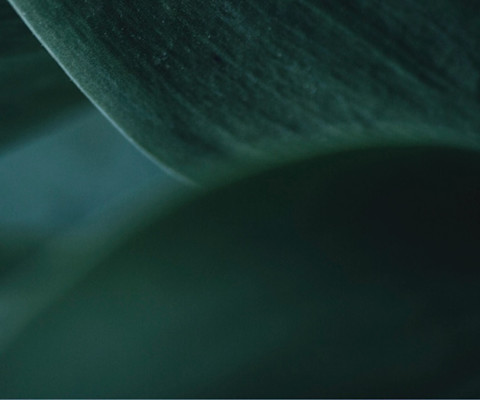 cms banner pricing cms banner pricing