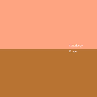 cantaloupe-vs-copper