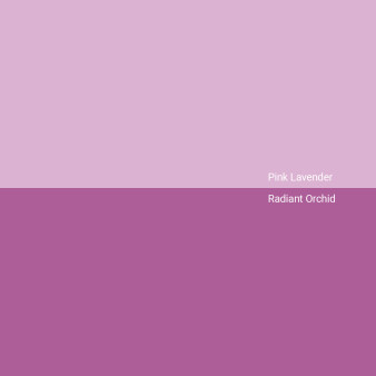 pink-lavender-v-radiant-orchid