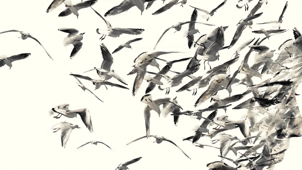 23 Book Covers Show What Goes into Best-Seller Design 23 Book Covers Show What Goes into Best-Seller Design