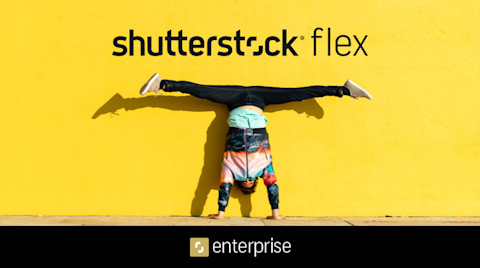 ent flex subs image