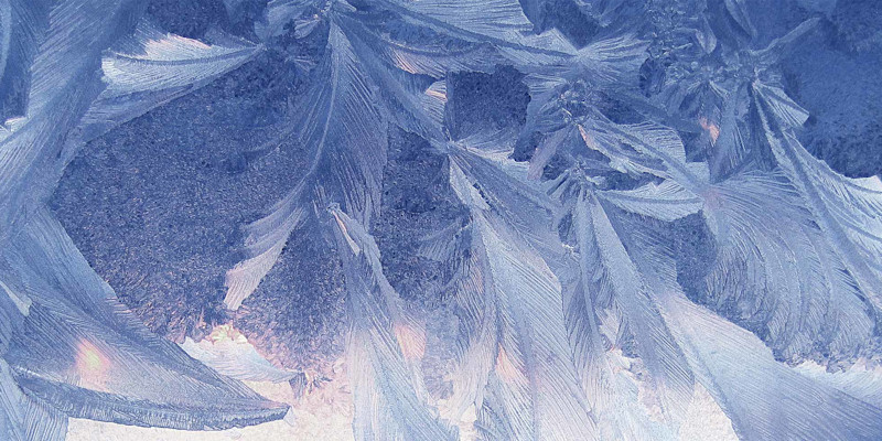 Winter-2