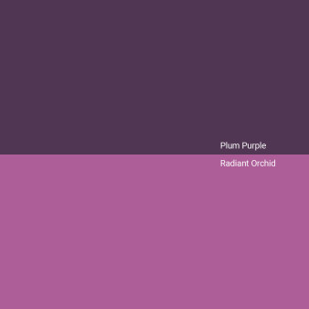 plum-purple-v-radiant-orchid