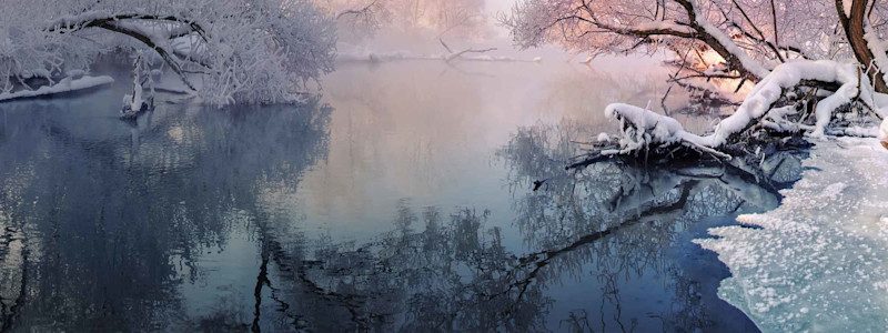 Winter-Chill Banner