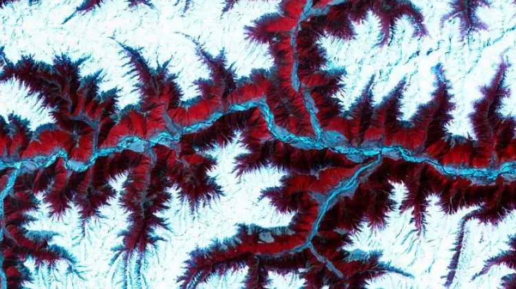 Take a Micro and Macro Look at the World with Science Photo Library