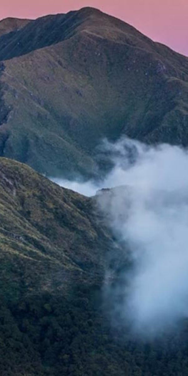 Zoom video backgrounds header poster