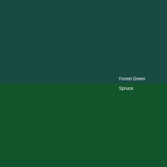 forest-green-v-spruce