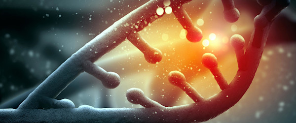 Free-healthcare-medical-image Free-healthcare-medical-image