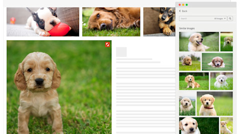Shutterstock Reveal