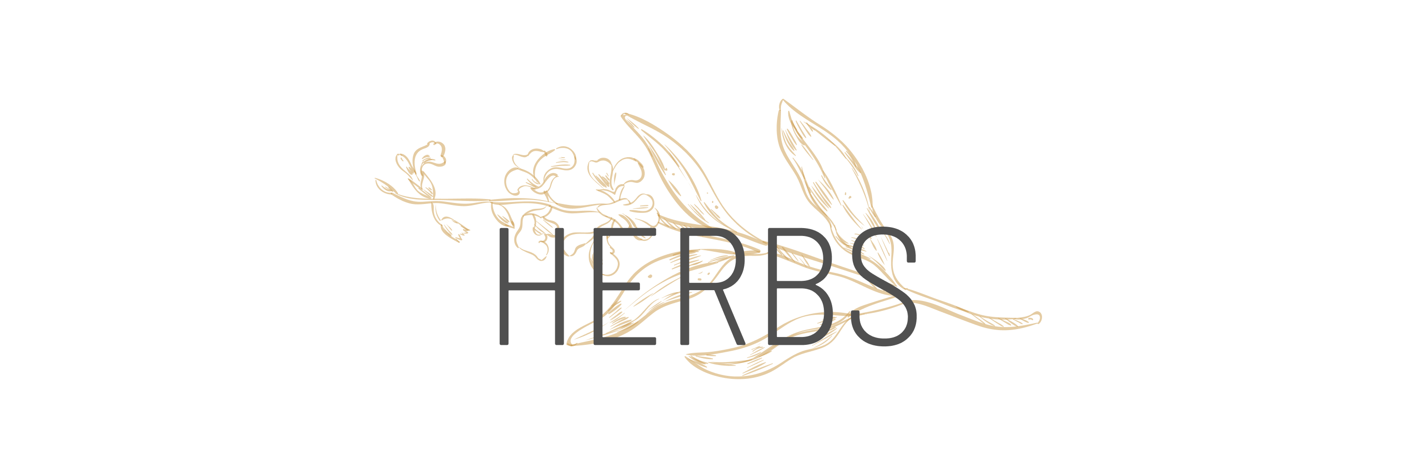 herbsjs-logo