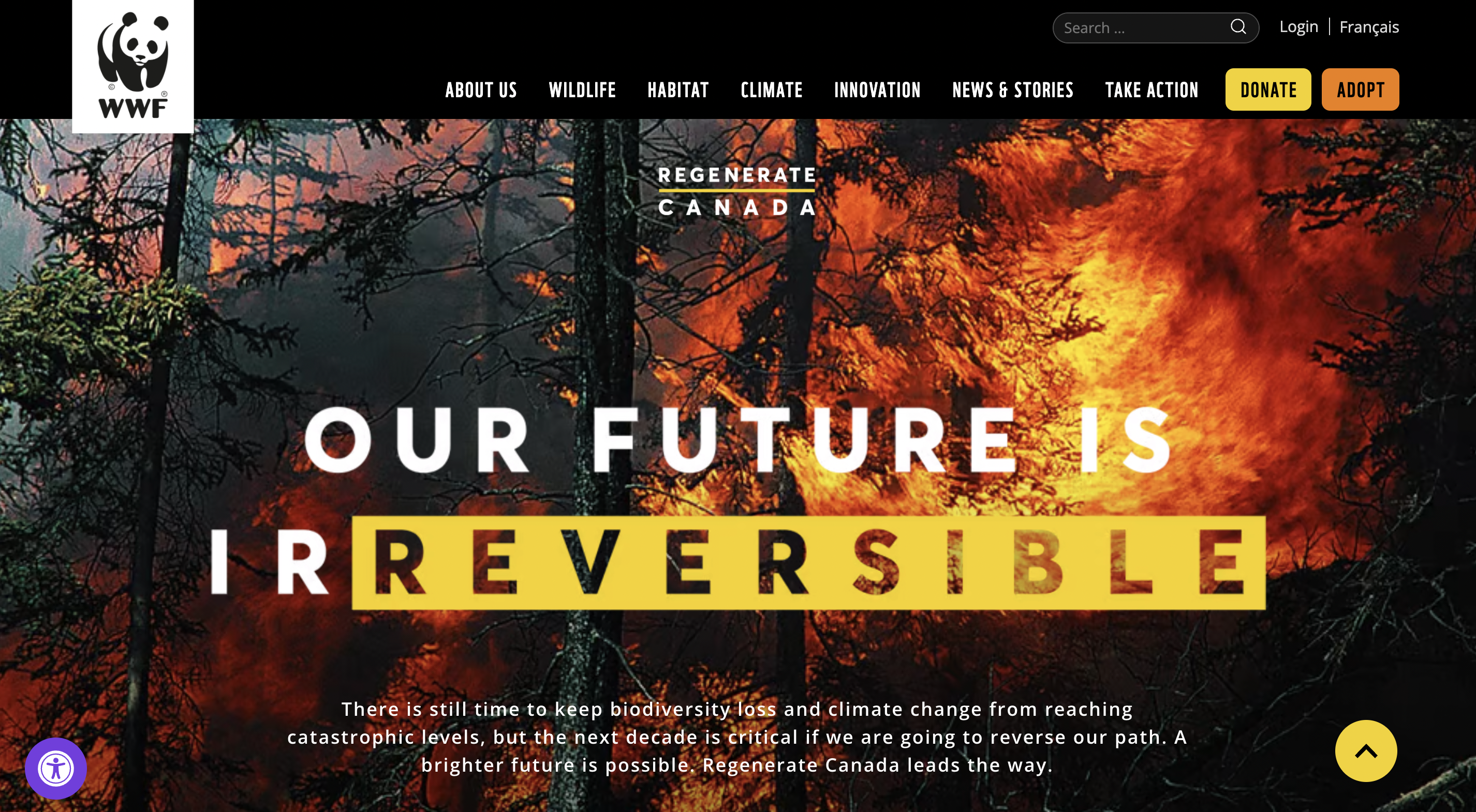 Our Future is Irreversible