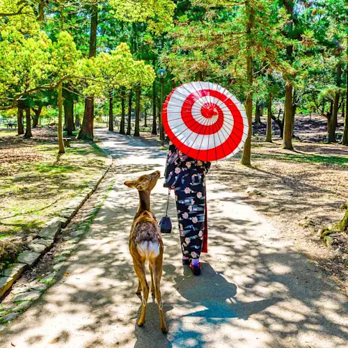 Kimono-woman-Nara-deer-park-Japan