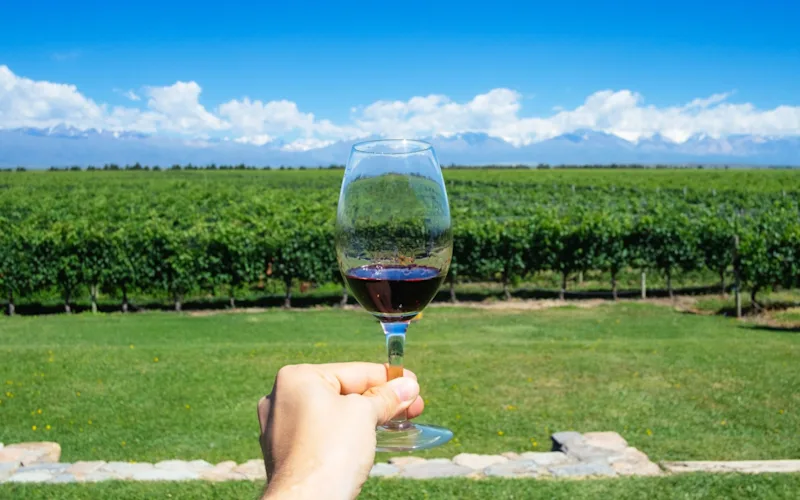 mendoza-wine-experience-half-day-optional-excursion