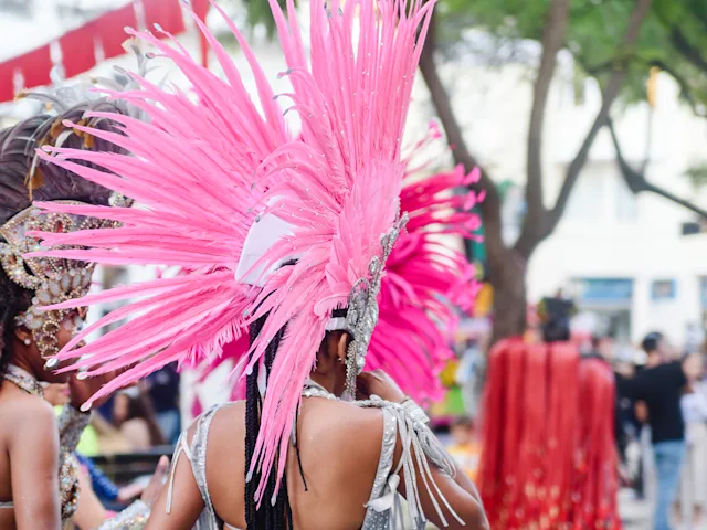 Carnival-parade-swiper-hero-gallery