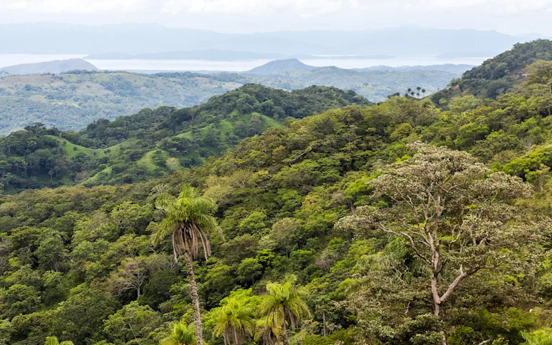 Drive through the Monteverde Cloud Forest