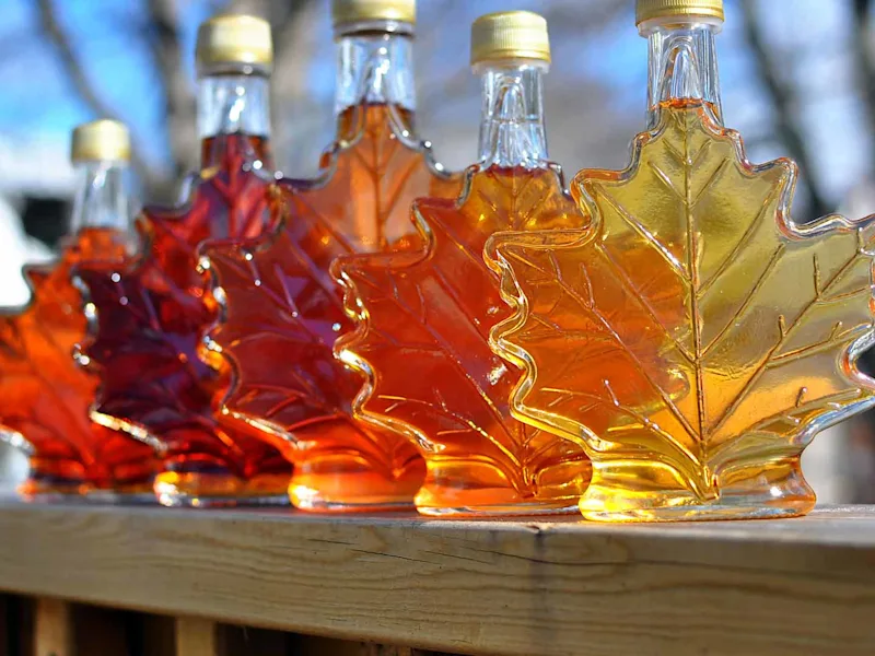 day6-maple-syrup-eastern-usa-and-canada-escape