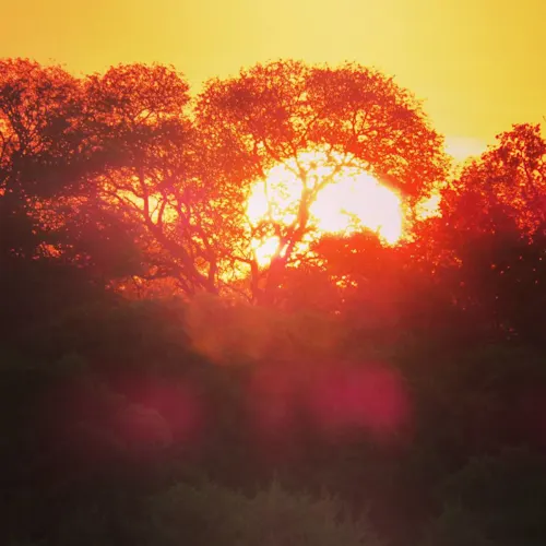 kruger-national-park-south-africa-Instagram-_helenavonkach