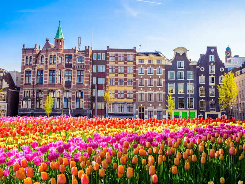 netherlands-amsteradam-city-tulips
