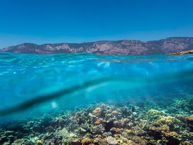 red-sea-coral-reef-egypt-swiper-hero-gallery