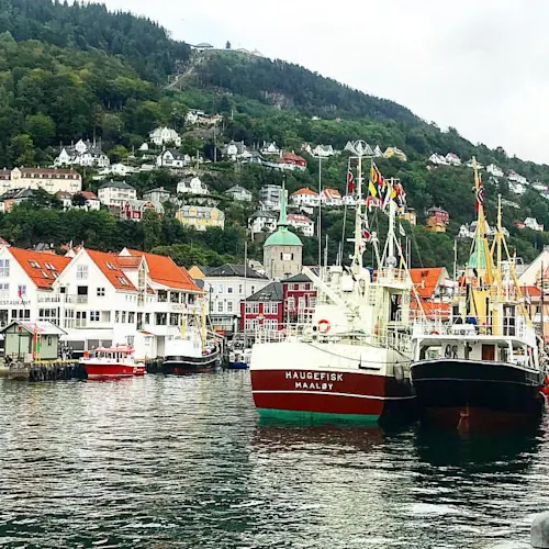 Bergen-_bloom_to_travel_photography