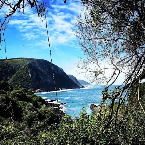 garden-route-south-africa-Instagram-_gregoryfleming