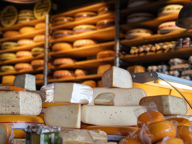 Dutch-cheese-selection-swiper-hero-gallery