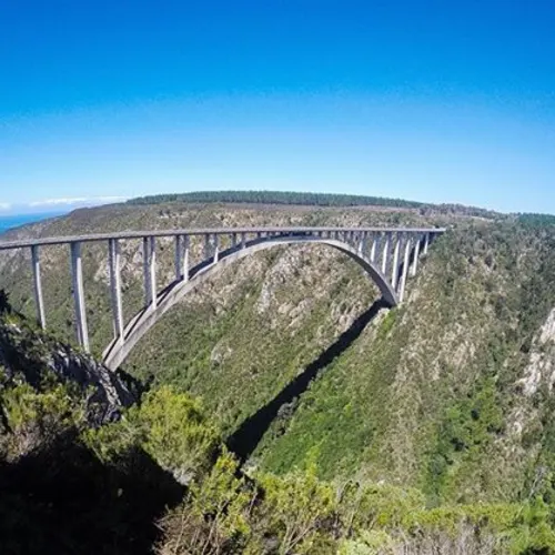 bloukrans-bungee-south-africa-Instagram-_angusfulle.r