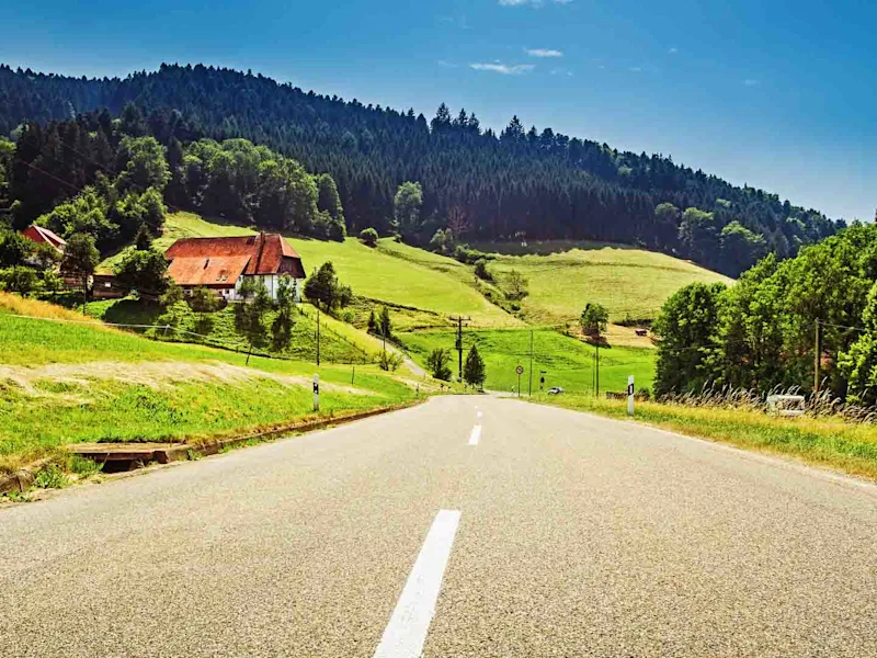 black-forest-germany-road-summer-driving-vacation